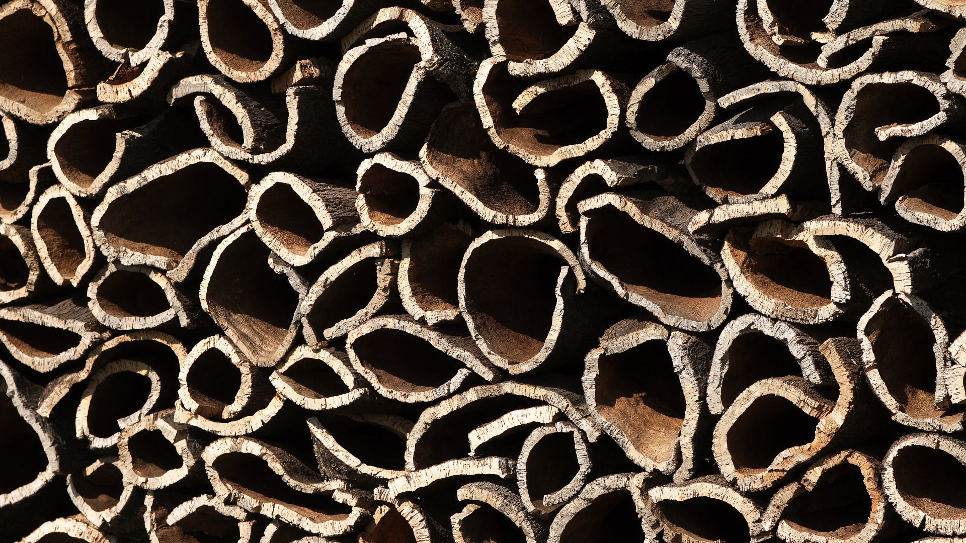 Raw Cork