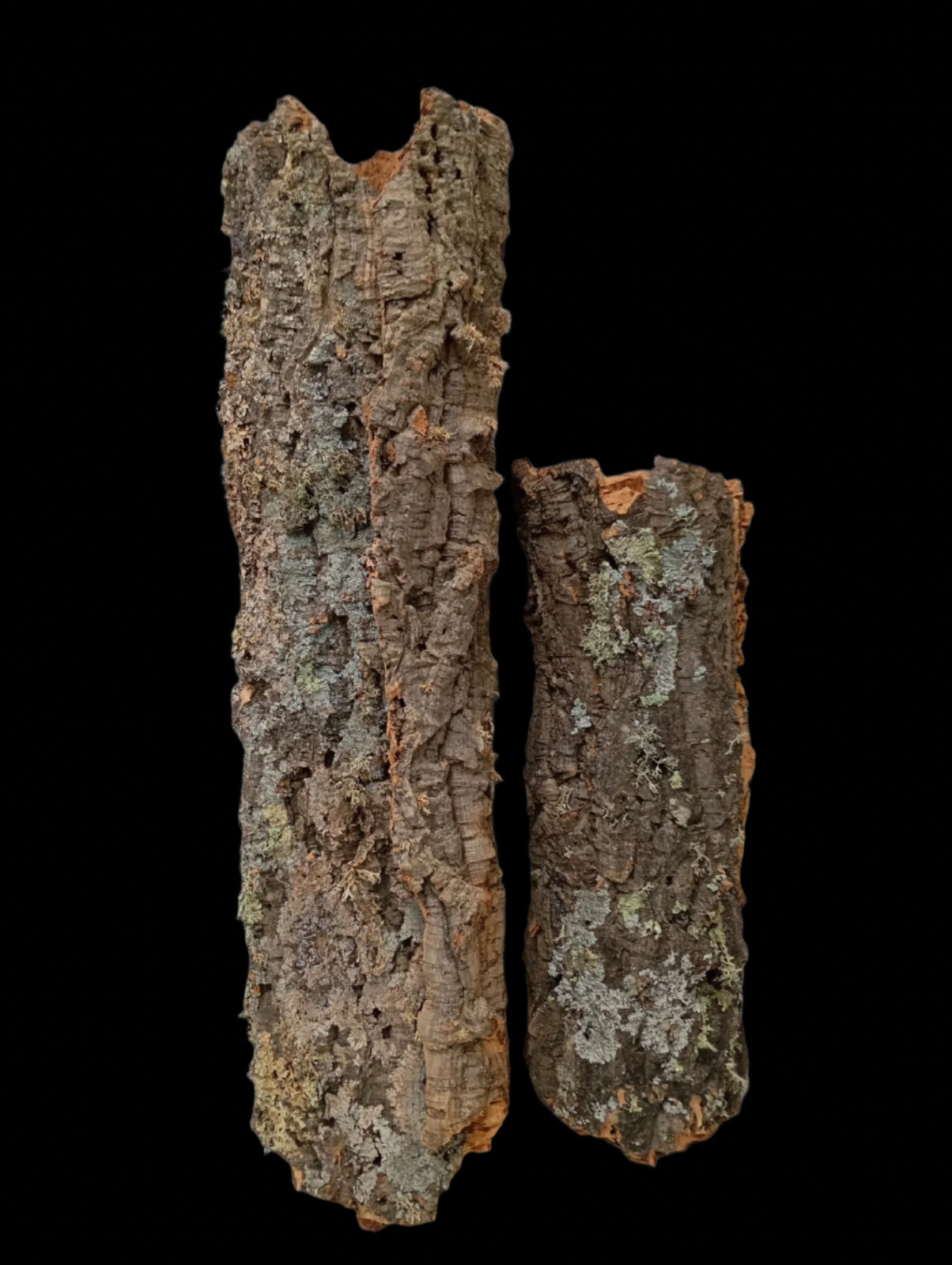 Virgin Cork Tubes