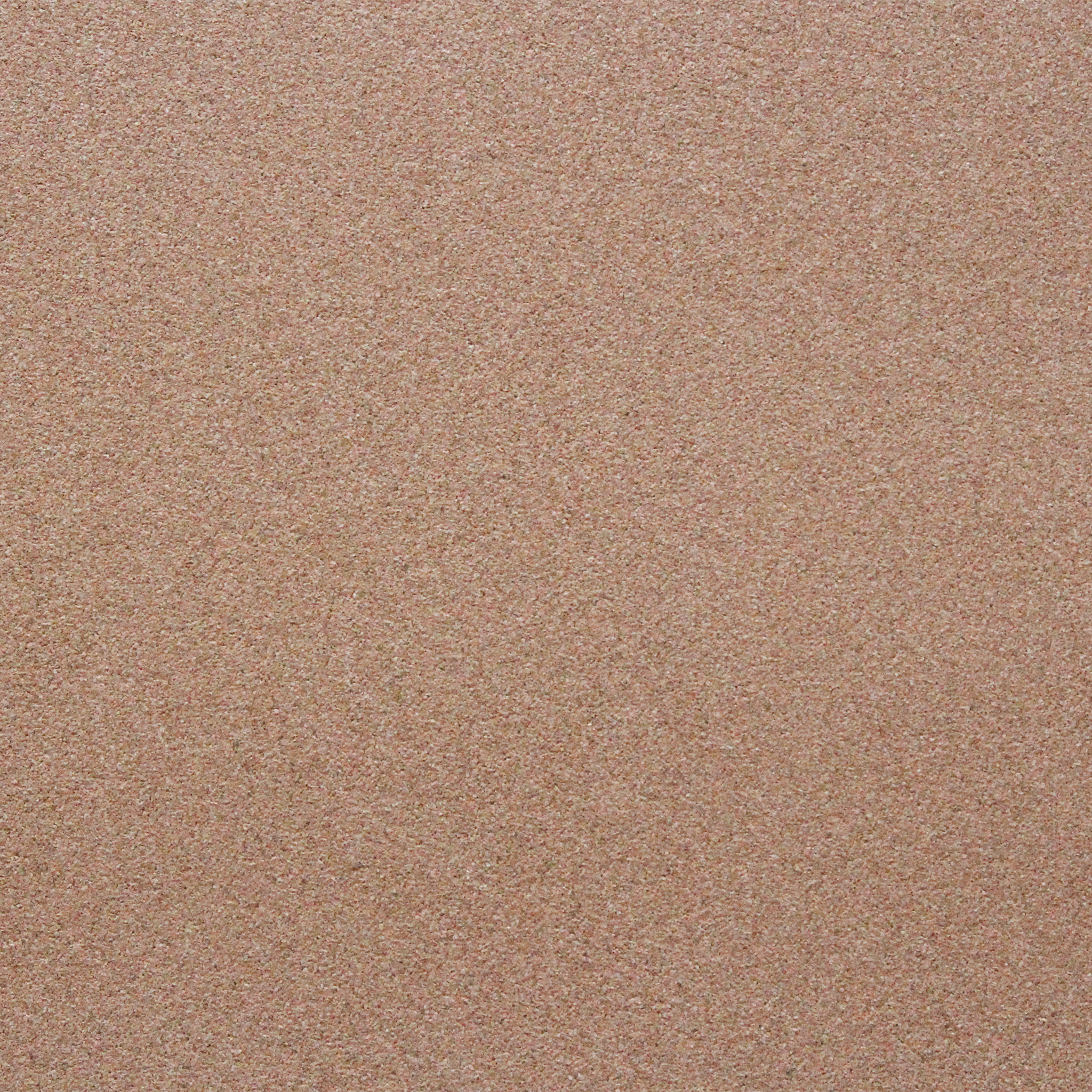 Cork Wall Samples