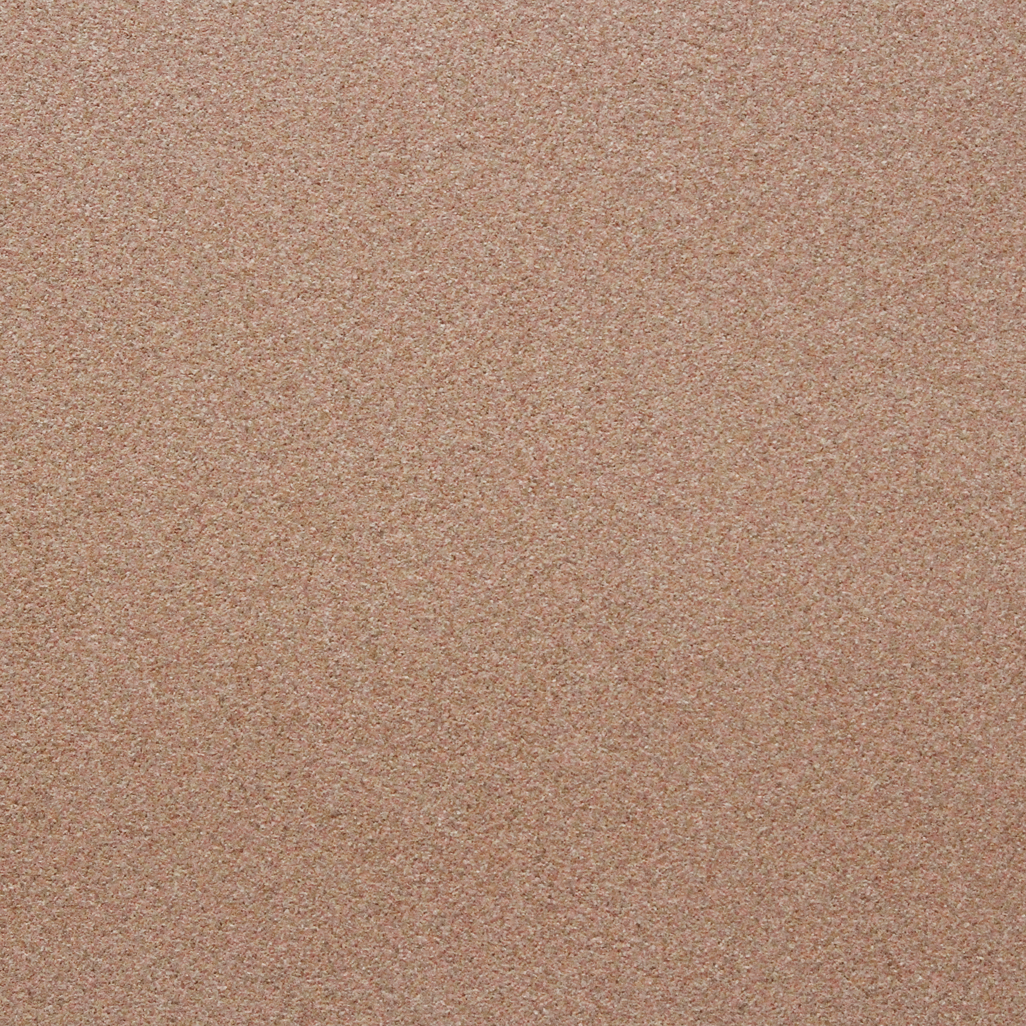 Cork Wall Samples