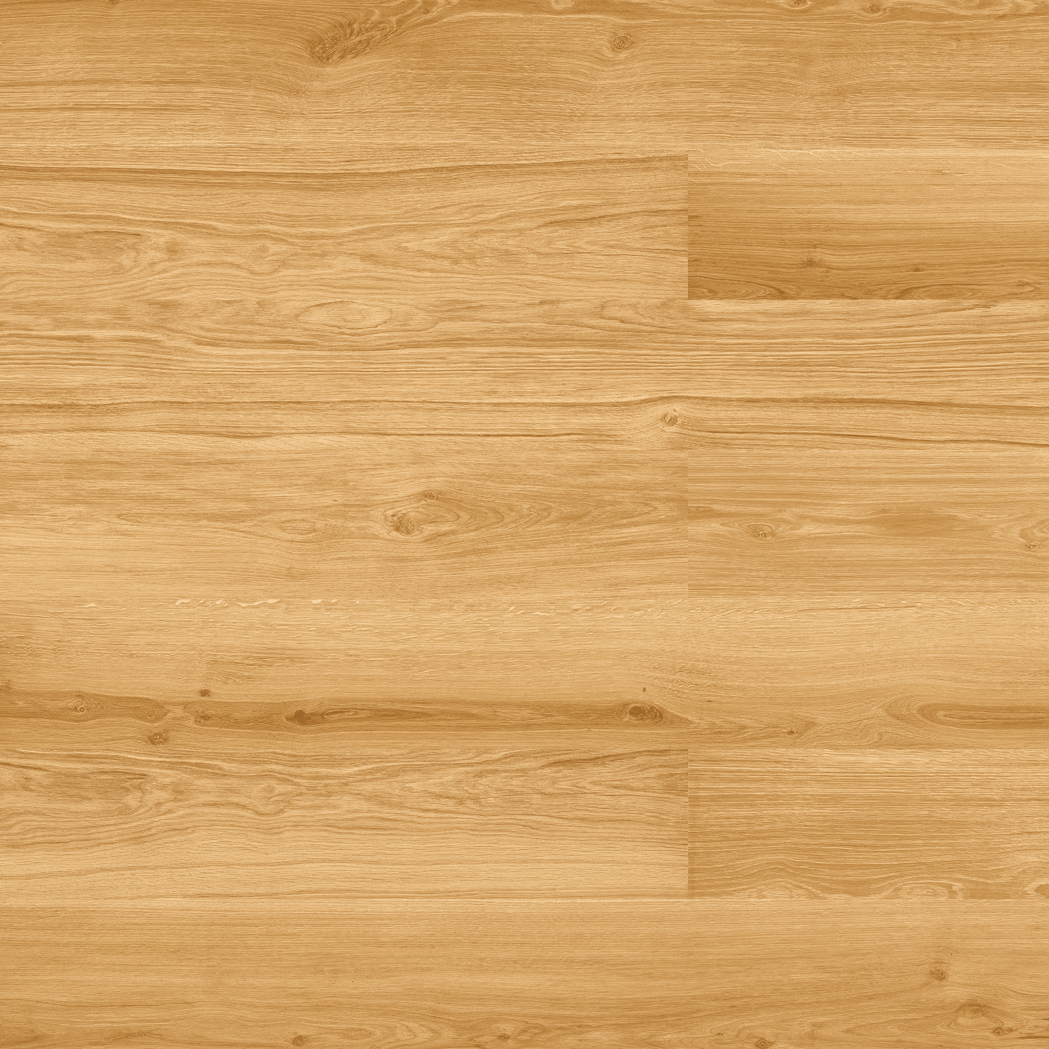 CORK FLOOR SAMPLES