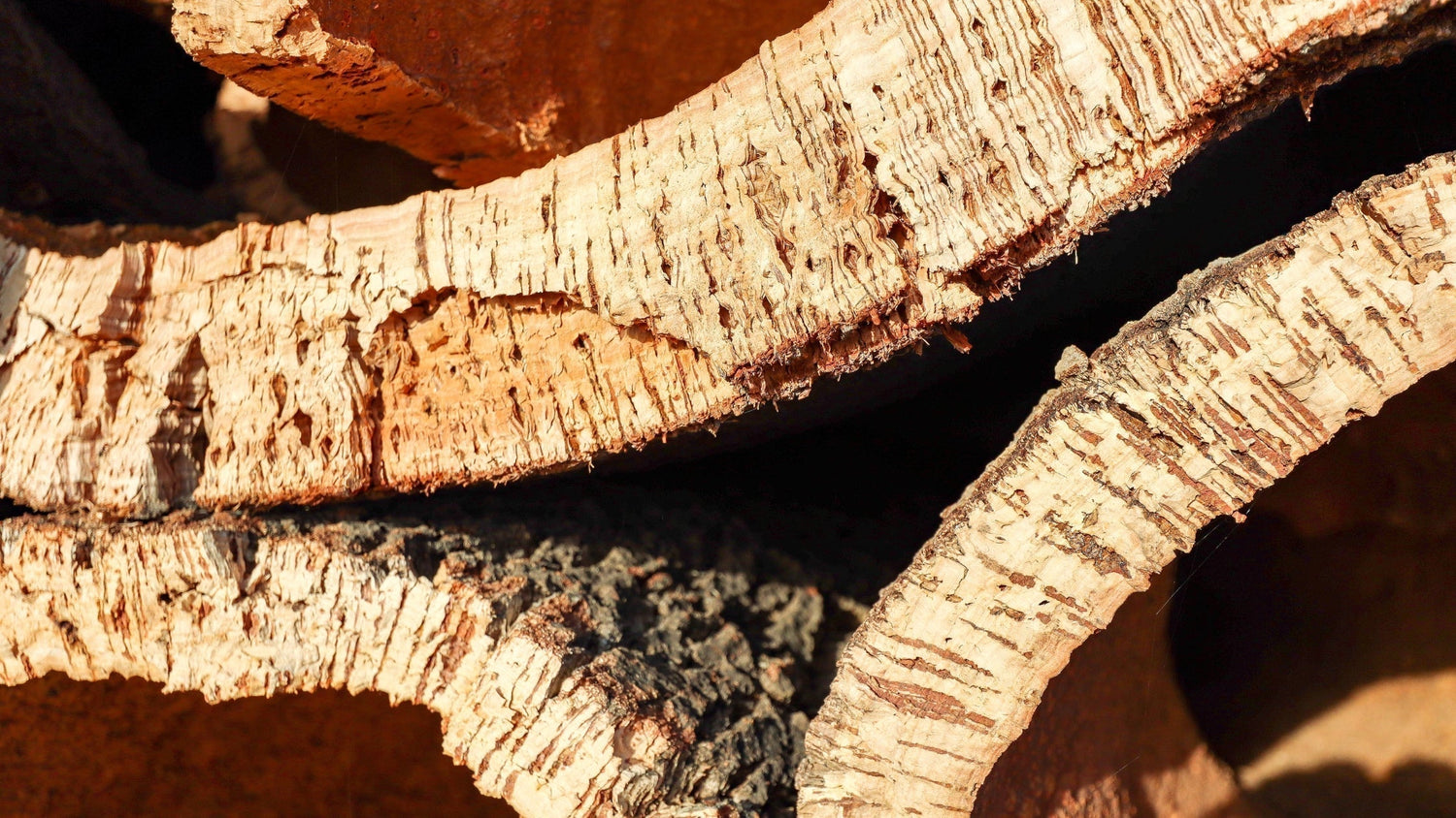 Sustainable Cork: Why FSC Certified Cork is the Eco-Friendly Choice
