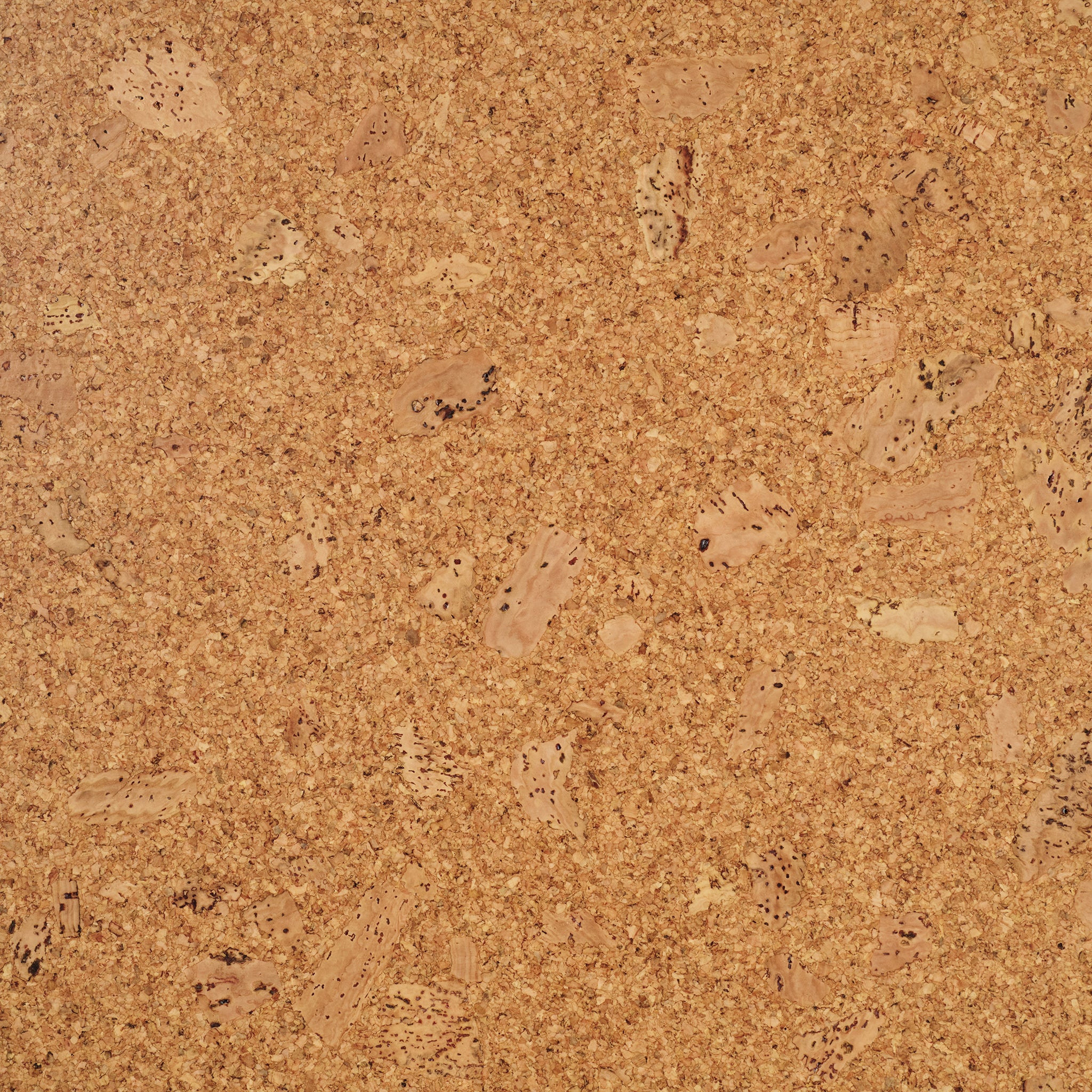 Cork Floor Samples