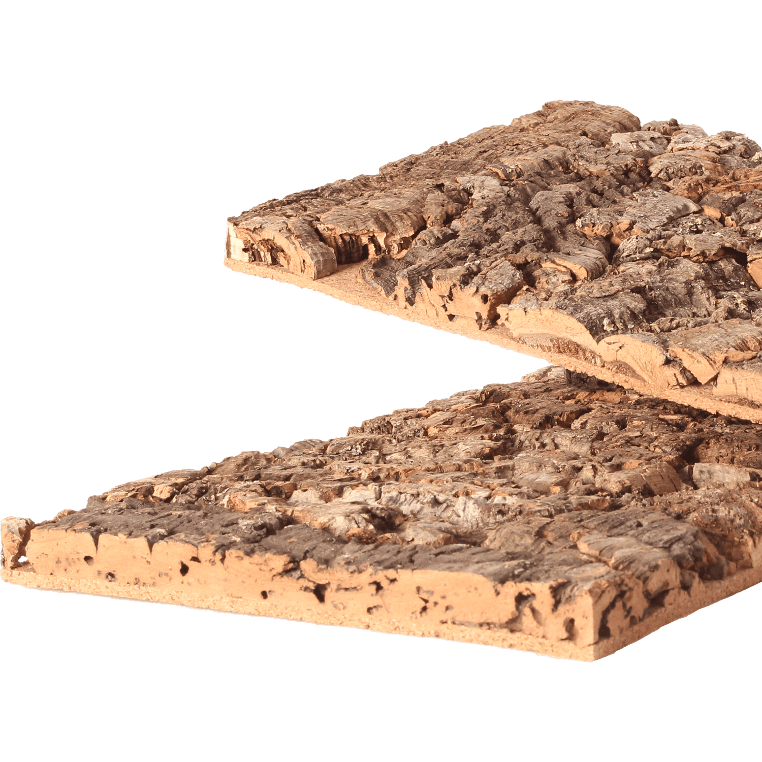 RUSTI CORK BARK