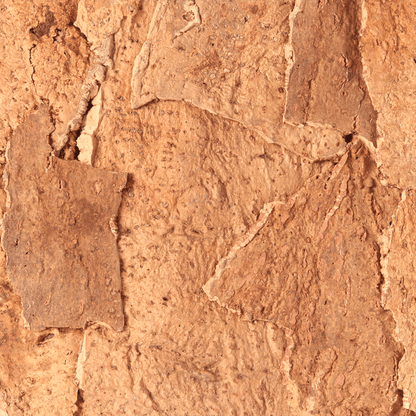 Cork Wall Samples